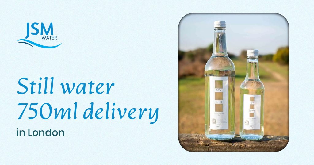 Why Still Water 750ml Delivery in London Is the Perfect Hydration Solution for Modern Lifestyles